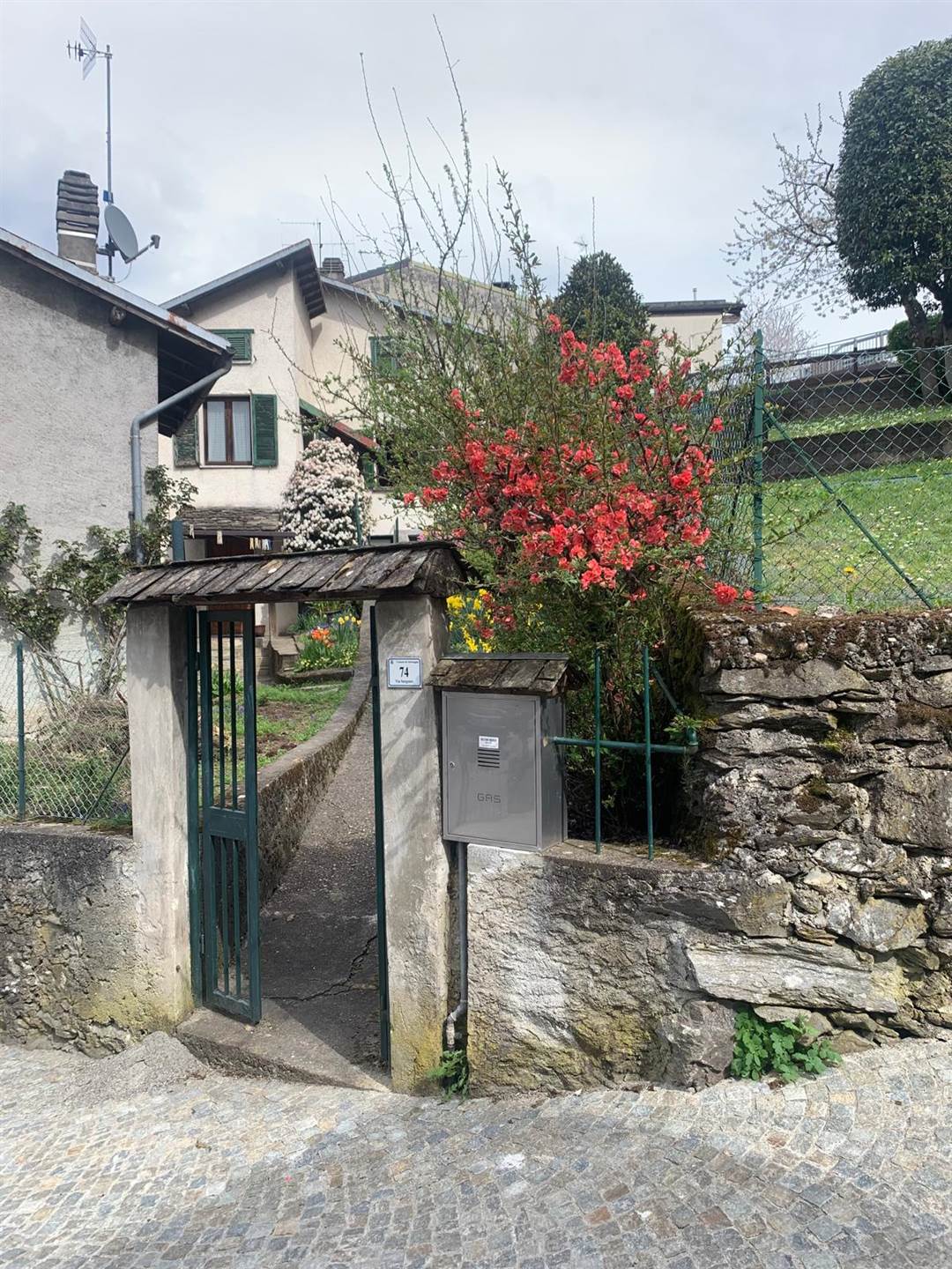 Foto