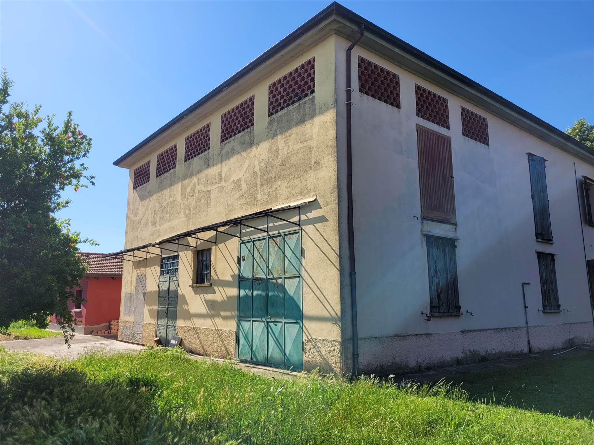 Foto