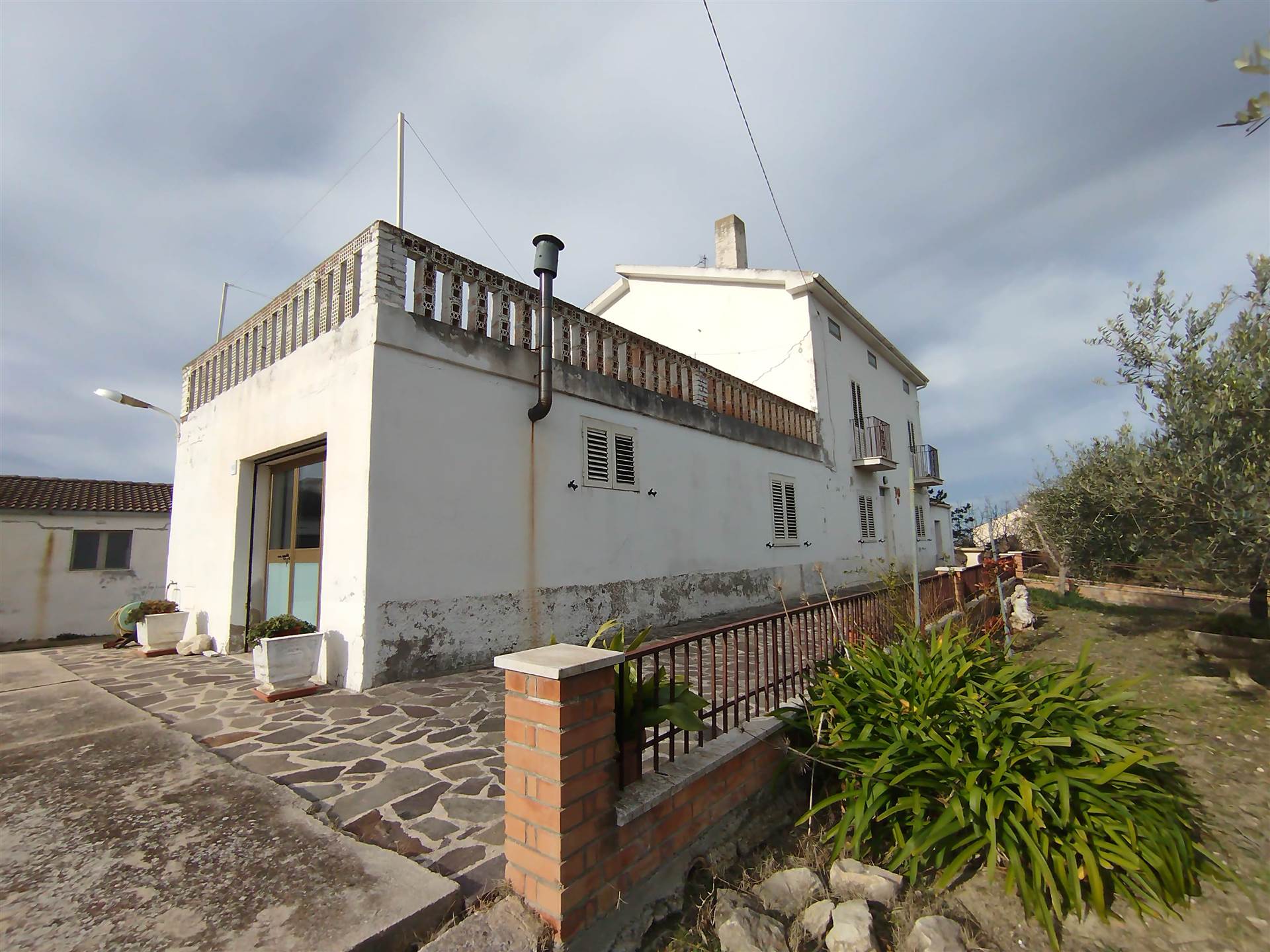 Foto