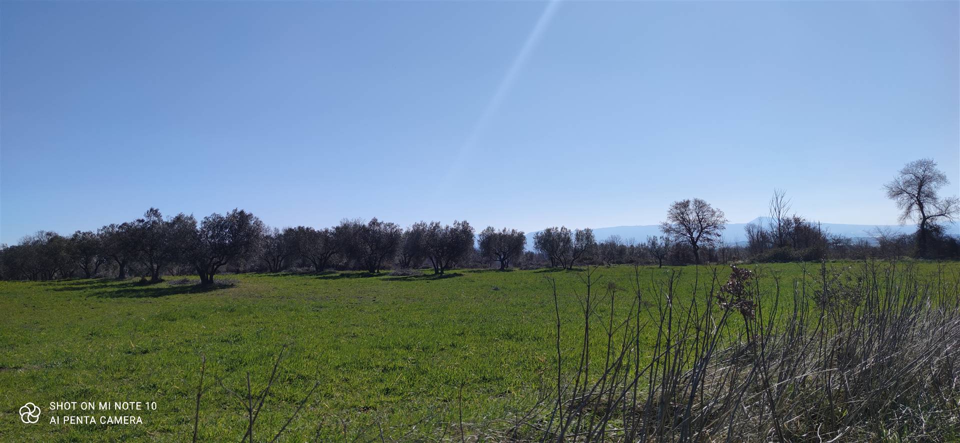 Agricultural land in MONTEFIASCONE