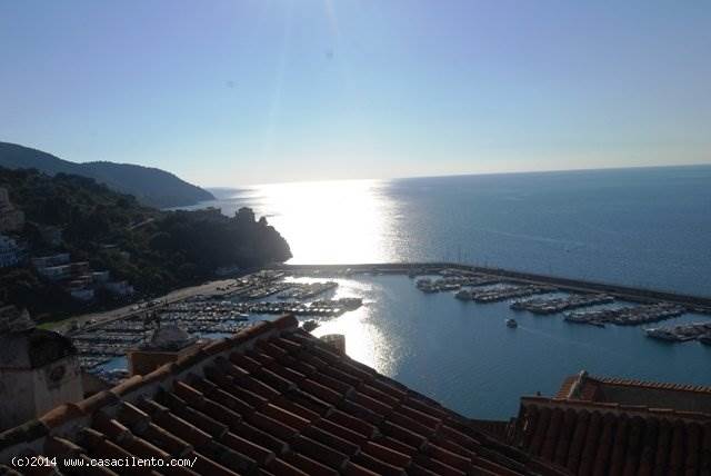 Immagine 7