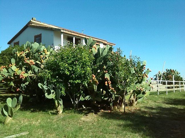 Villa in Poggi Alti Snc a Montalto di Castro