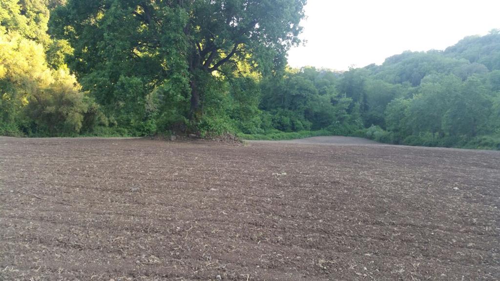 terreno agricolo seminativo tuscania vende