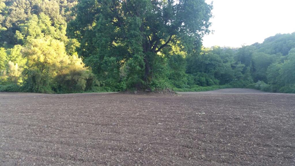 terreno agricolo seminativo tuscania vende