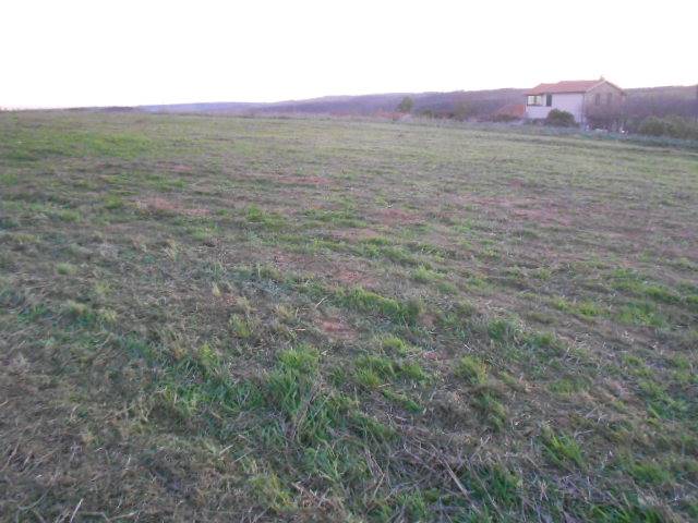 terreno agricolo seminativo tuscania vende 