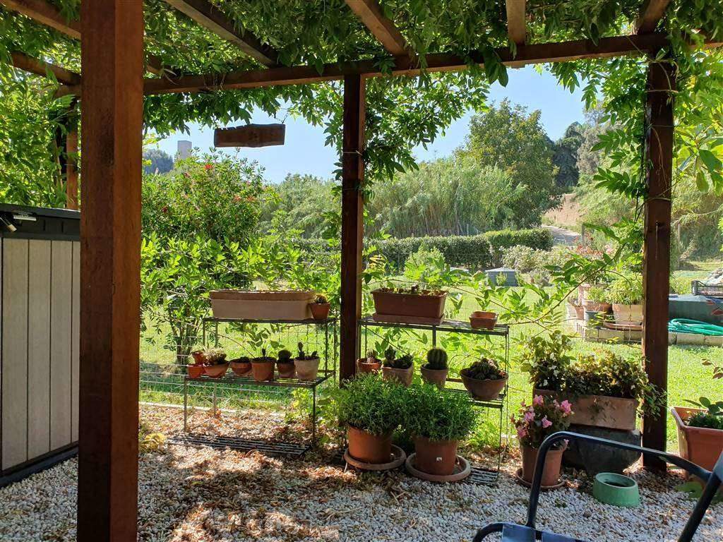 terreno frutteto spazio relax tuscania vende