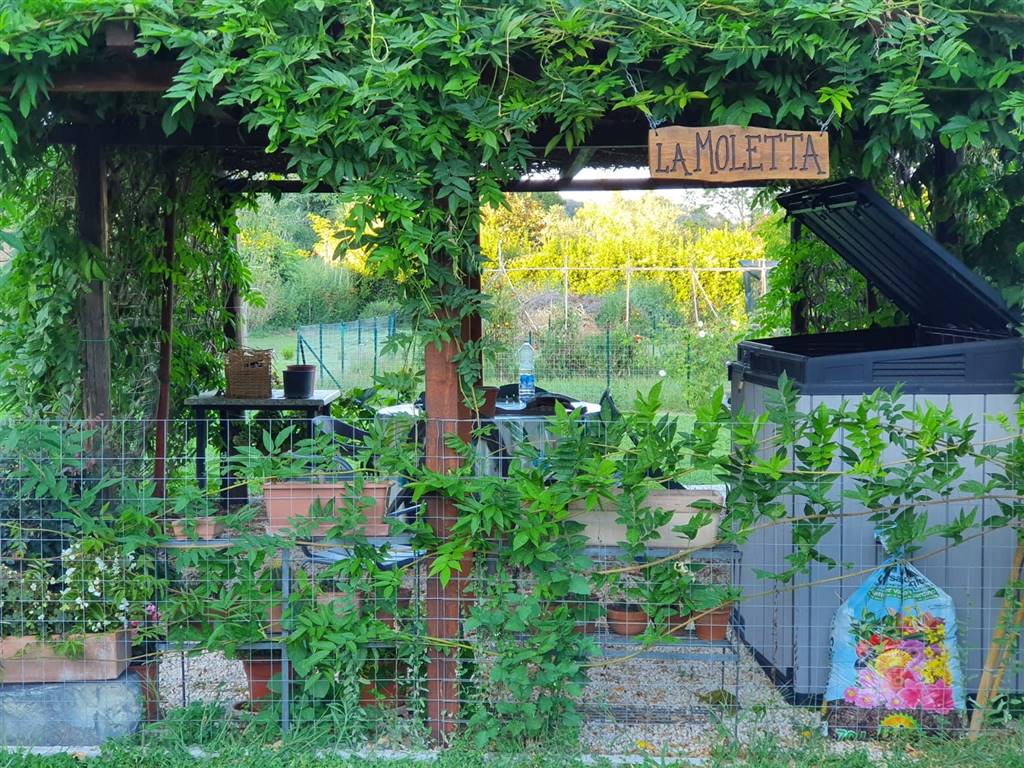 terreno frutteto spazio relax tuscania vende