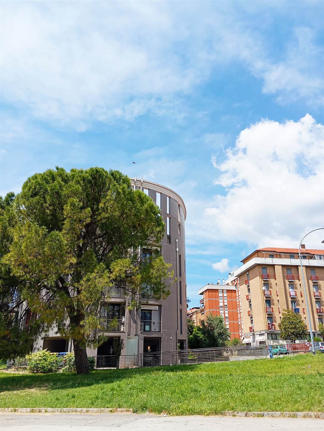 via delle palme bilo in vendita