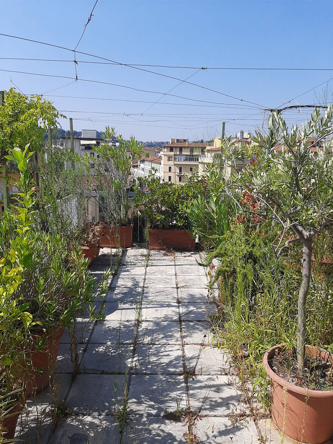 MAZZINI, FIRENZE, Penthouse for rent of 120 Sq. mt., Good condition, Heating Centralized, Energetic class: G, placed at 5° on 5, composed by: 5 Rooms,