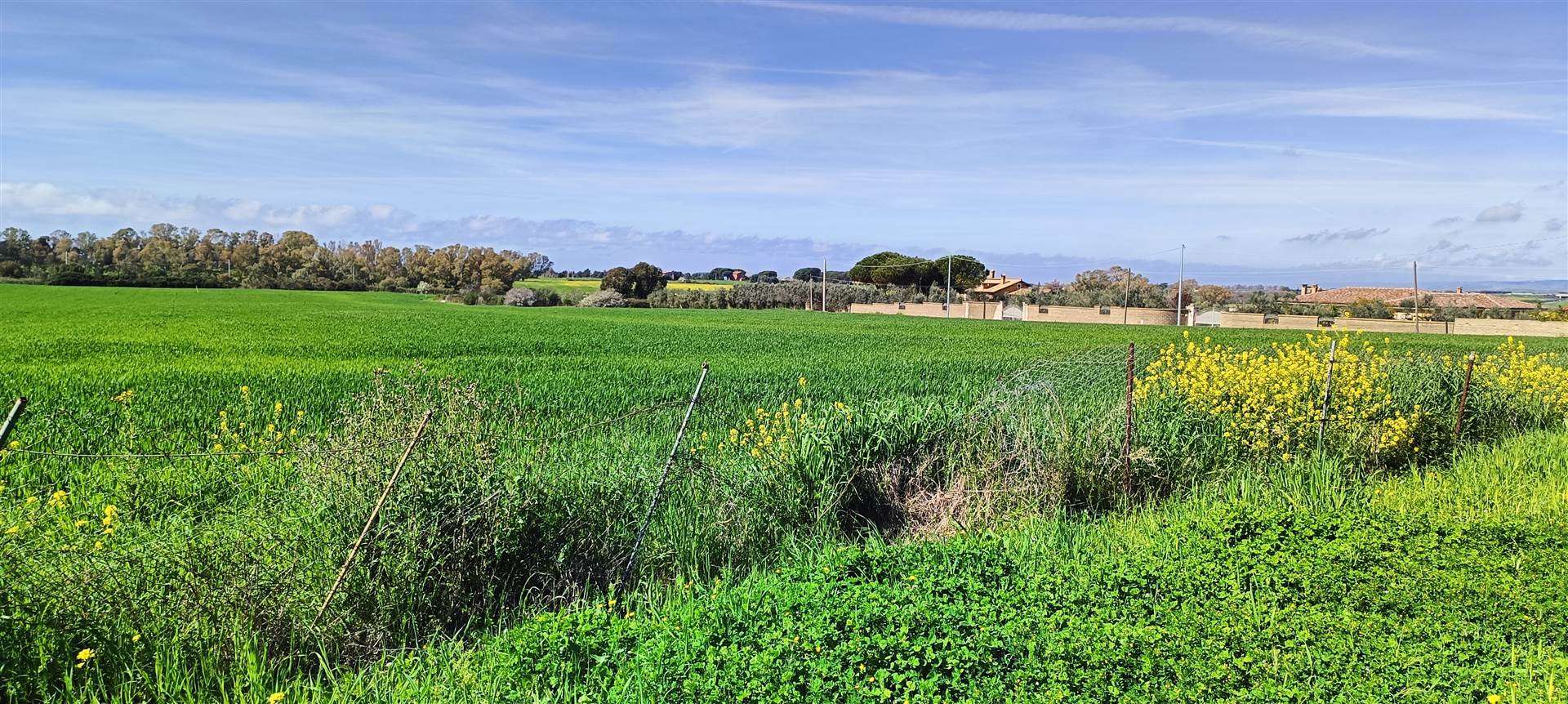 L'Immobiliare Bertini propone in vendita a Civitavecchia, Terreno Agricolo di 10 ettari vicino zona Industriale adiacente il Porto di Civitavecchia 