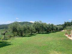 SAN MARTINO BUON ALBERGO, Building plot of land for sale of 90000 Sq. mt., Excellent Condition, Energetic class: G, composed by: , Garden, Price: € 1,