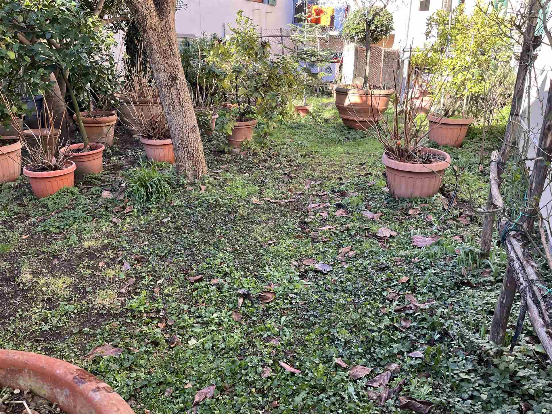 giardino 