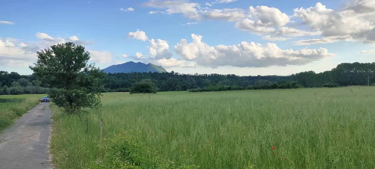 COLLEVECCHIO, Farming plot of land for sale of 35000 Sq. mt., Energetic class: Not subject, composed by: , Garden, Price: € 28,000