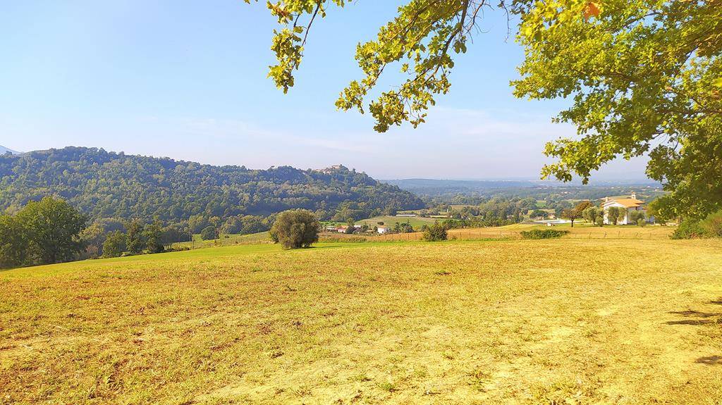 COLLEVECCHIO, Agricultural land for sale of 25000 Sq. mt., Energetic class: Not subject, composed by: , Garden, Price: € 40,000