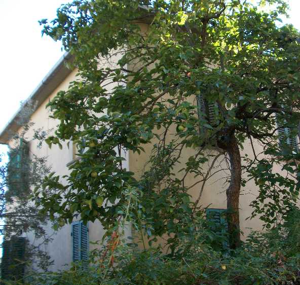 Villa da ristrutturare a Monte San Savino