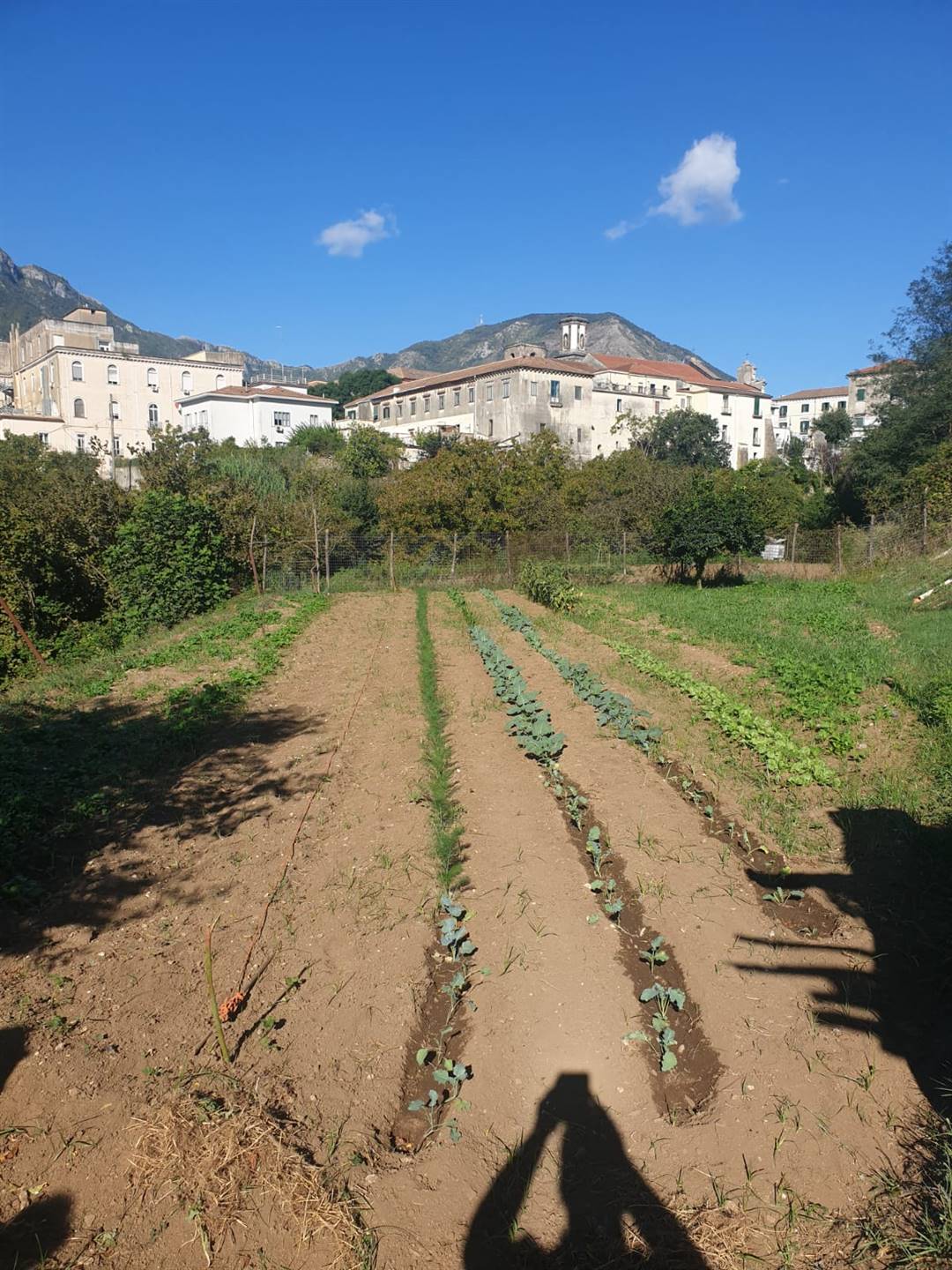 Farming plot of land in CAVA DE' TIRRENI