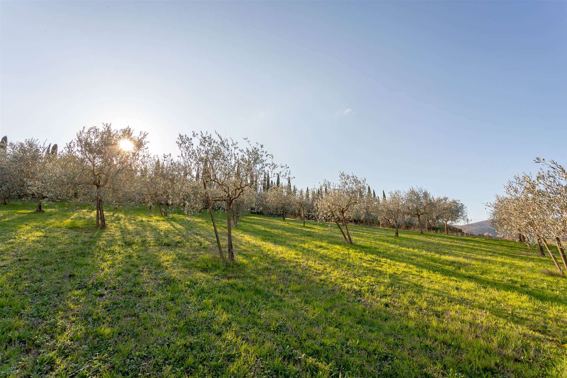 LA SERRA, CARMIGNANO, Agricultural land for sale of 1800 Sq. mt., Energetic class: G, composed by: , Garden, Price: € 69,000