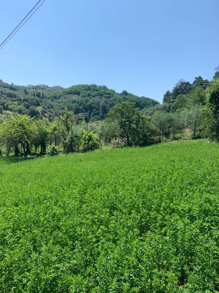 LASTRA A SIGNA, Building land for sale of 3000 Sq. mt., placed at Ground, composed by: , Garden, Price: € 195,000
