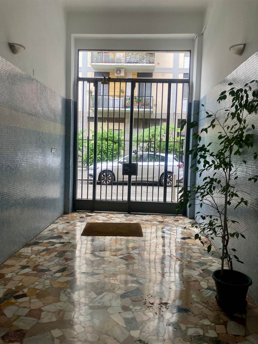 ingresso