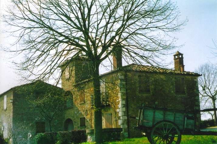 Rustico casale in zona Montefollonico a Torrita di Siena