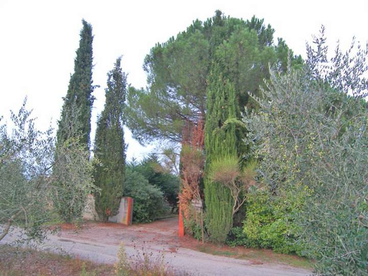 Villa bifamiliare in vendita a Cortona Arezzo
