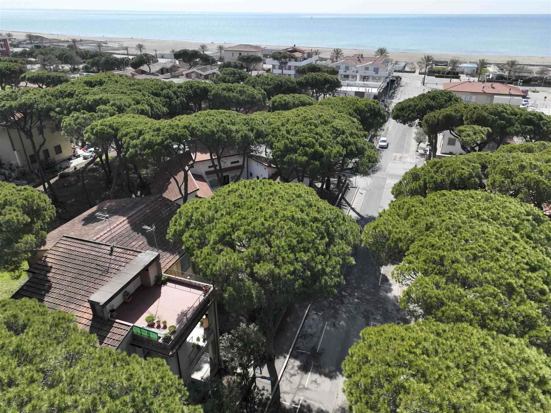 Villa bifamiliare in vendita a Grosseto Marina Di Grosseto Rosmarina