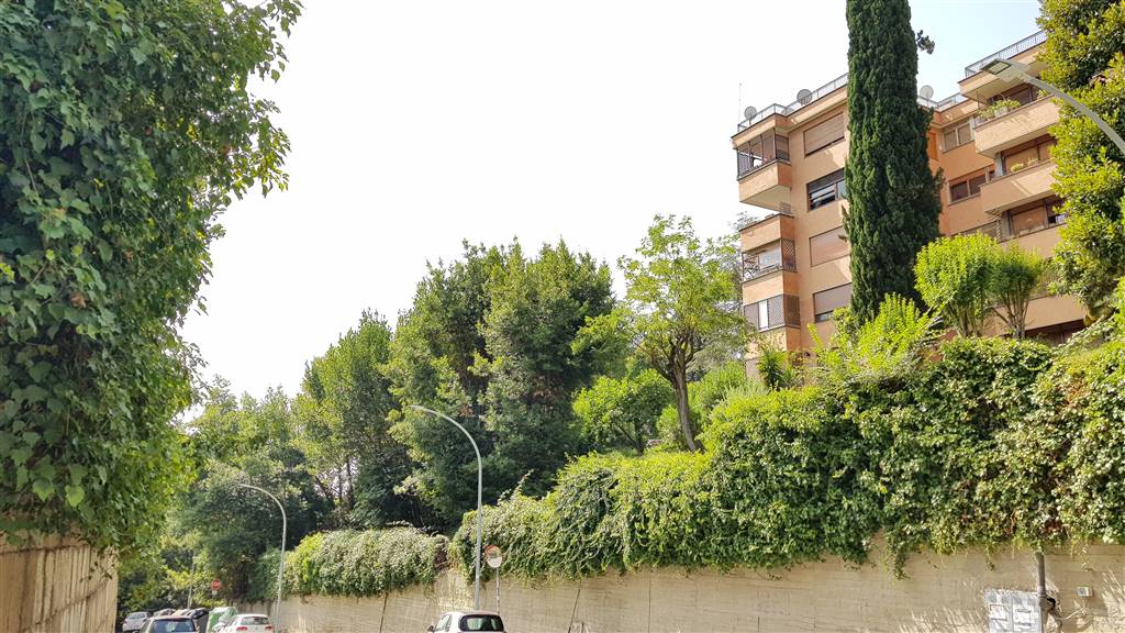 FARNESINA, ROMA, Apartment for rent of 130 Sq. mt., Heating Centralized, Energetic class: G, placed at Ground on 4, composed by: 5 Rooms, Separate kitchen, , 3 Bedrooms, 2 Bathrooms, Elevator, Cellar,