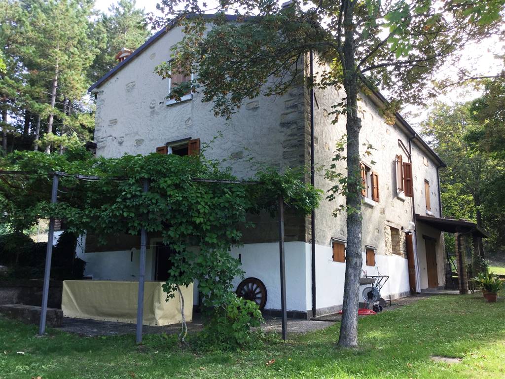 Casa singola in vendita a Rocca San Casciano Forli'-cesena