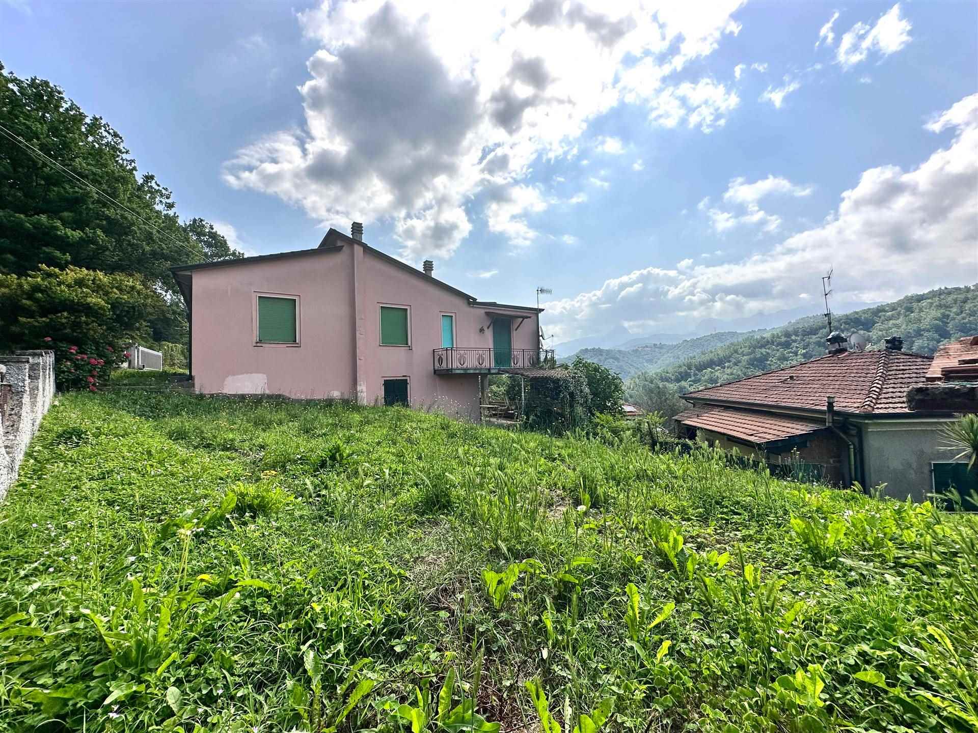 Foto Foto