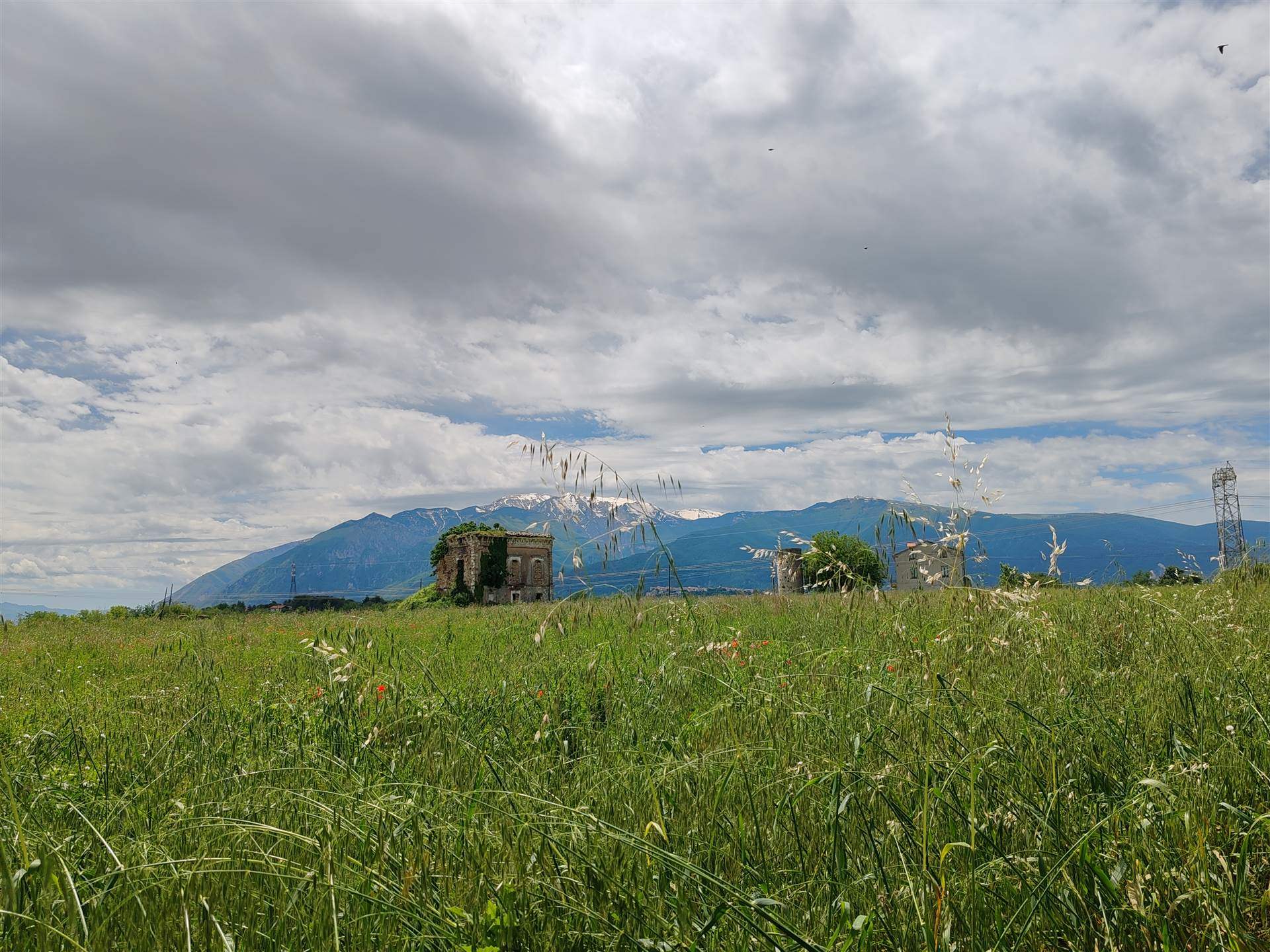 Foto