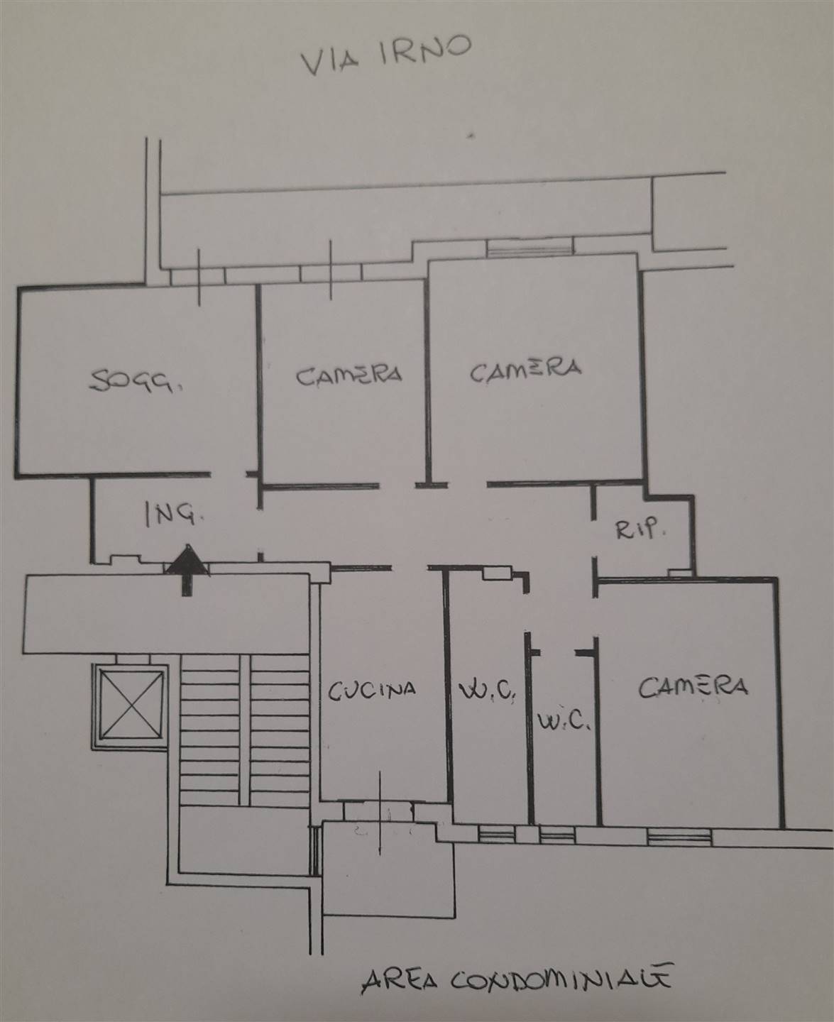 rappresentazione grafica