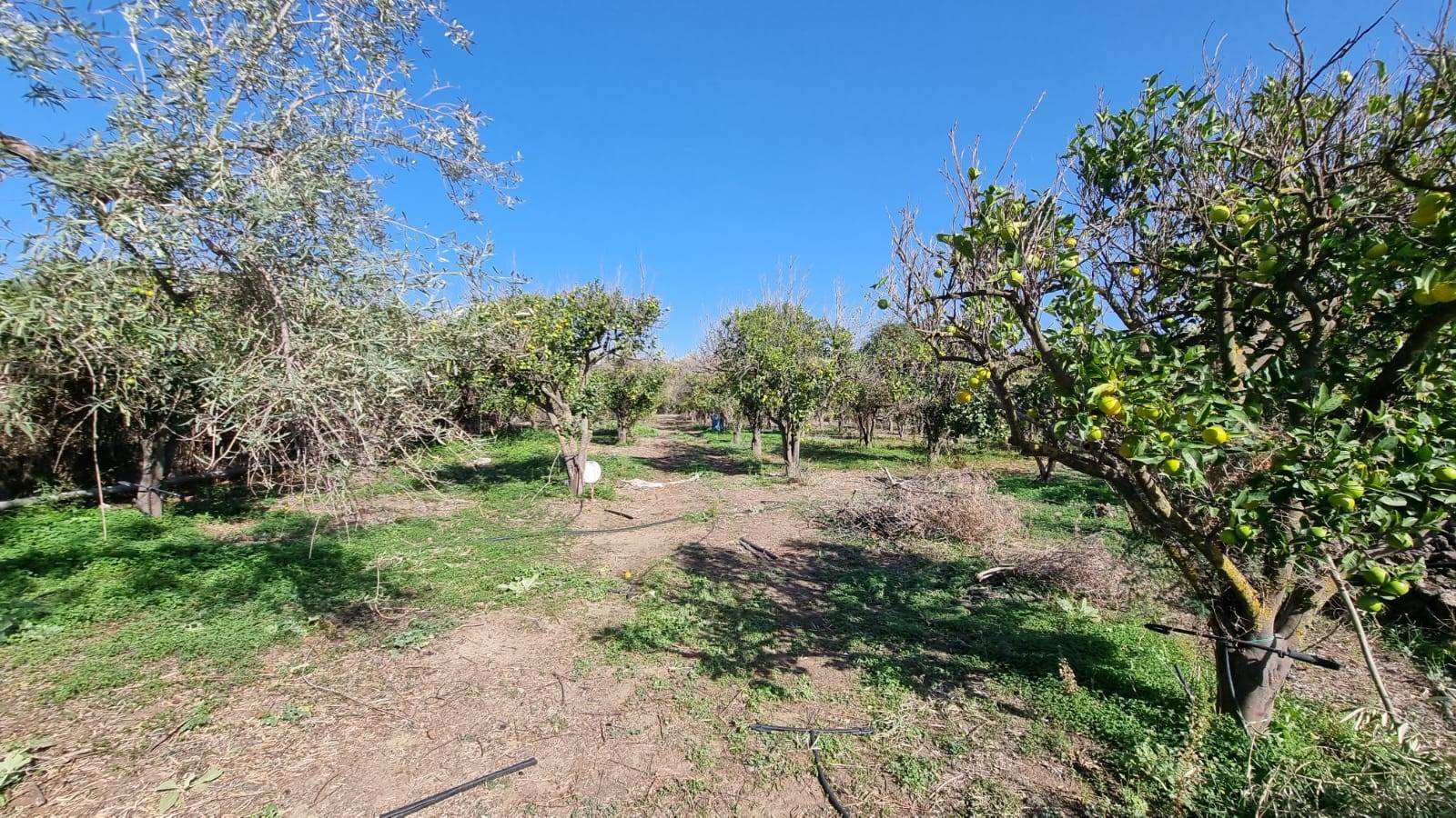 BELPASSO, Industrial land for sale of 13622 Sq. mt., Energetic class: G, Epi: 1 kwh/m2 year, composed by: , Garden, Price: € 480,000