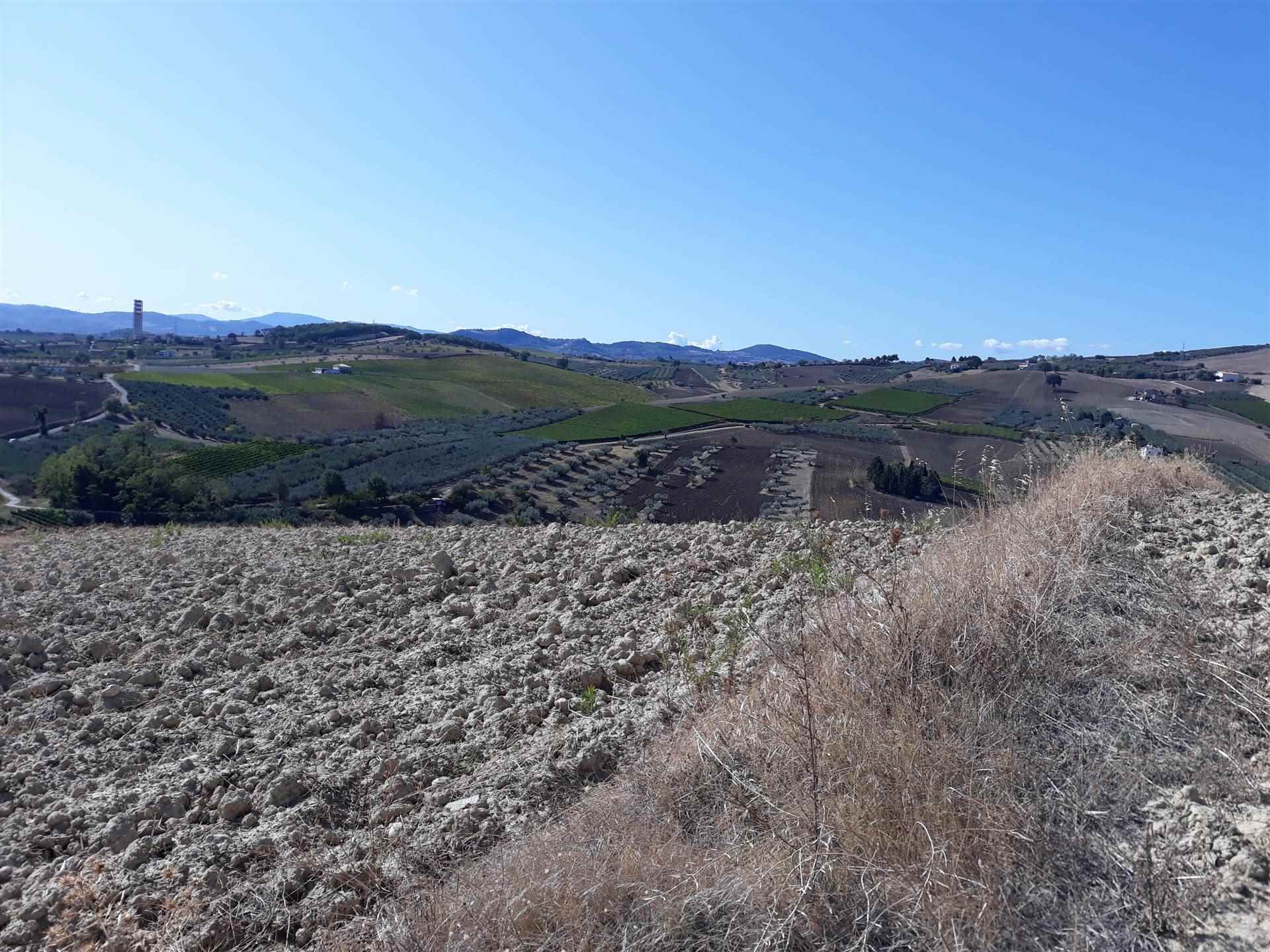 CUPELLO, Farming plot of land for sale of 20000 Sq. mt., Energetic class: G, Epi: 0 kwh/m2 year, composed by: , Price: € 60,000