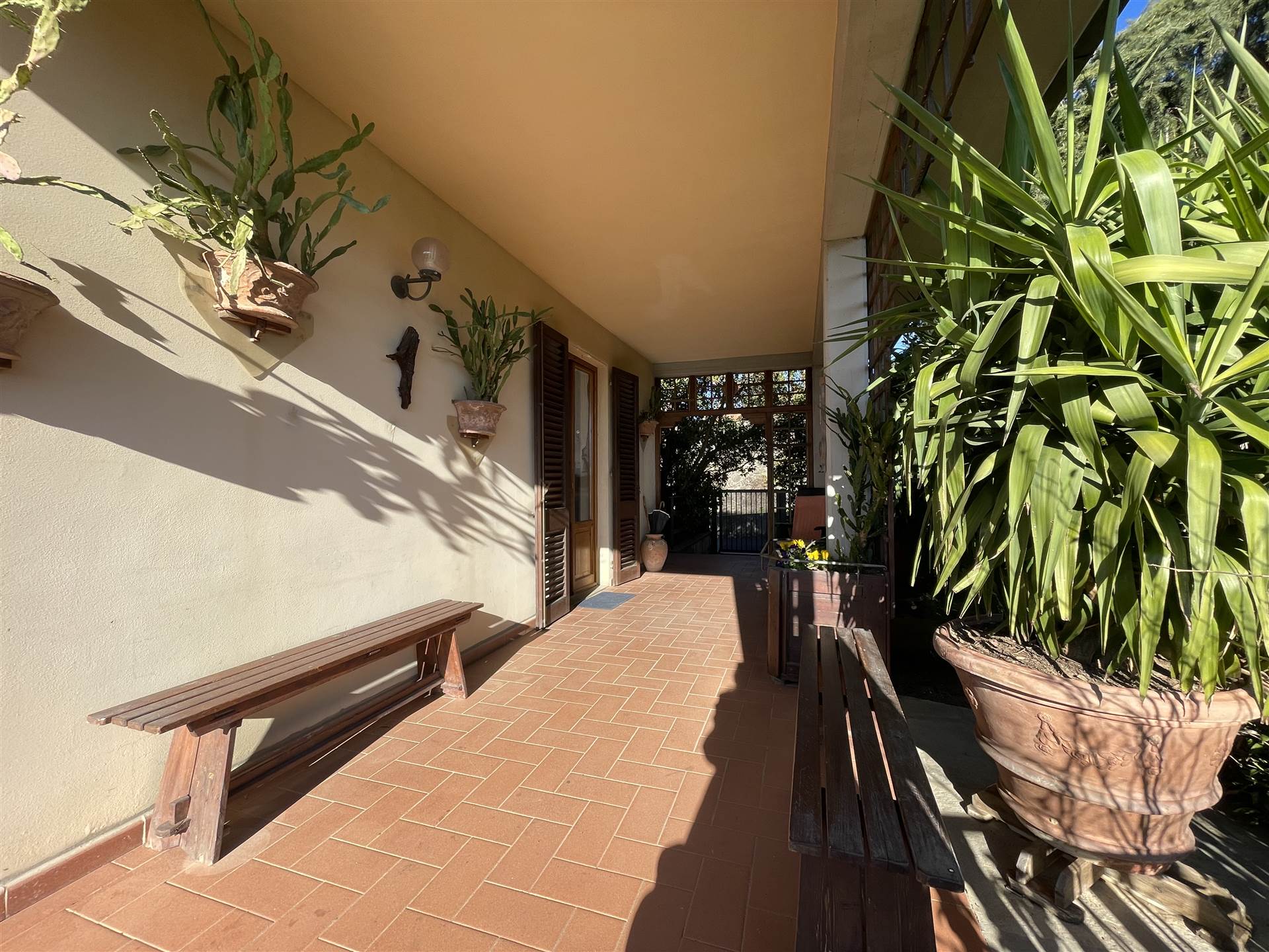 Terrazzav