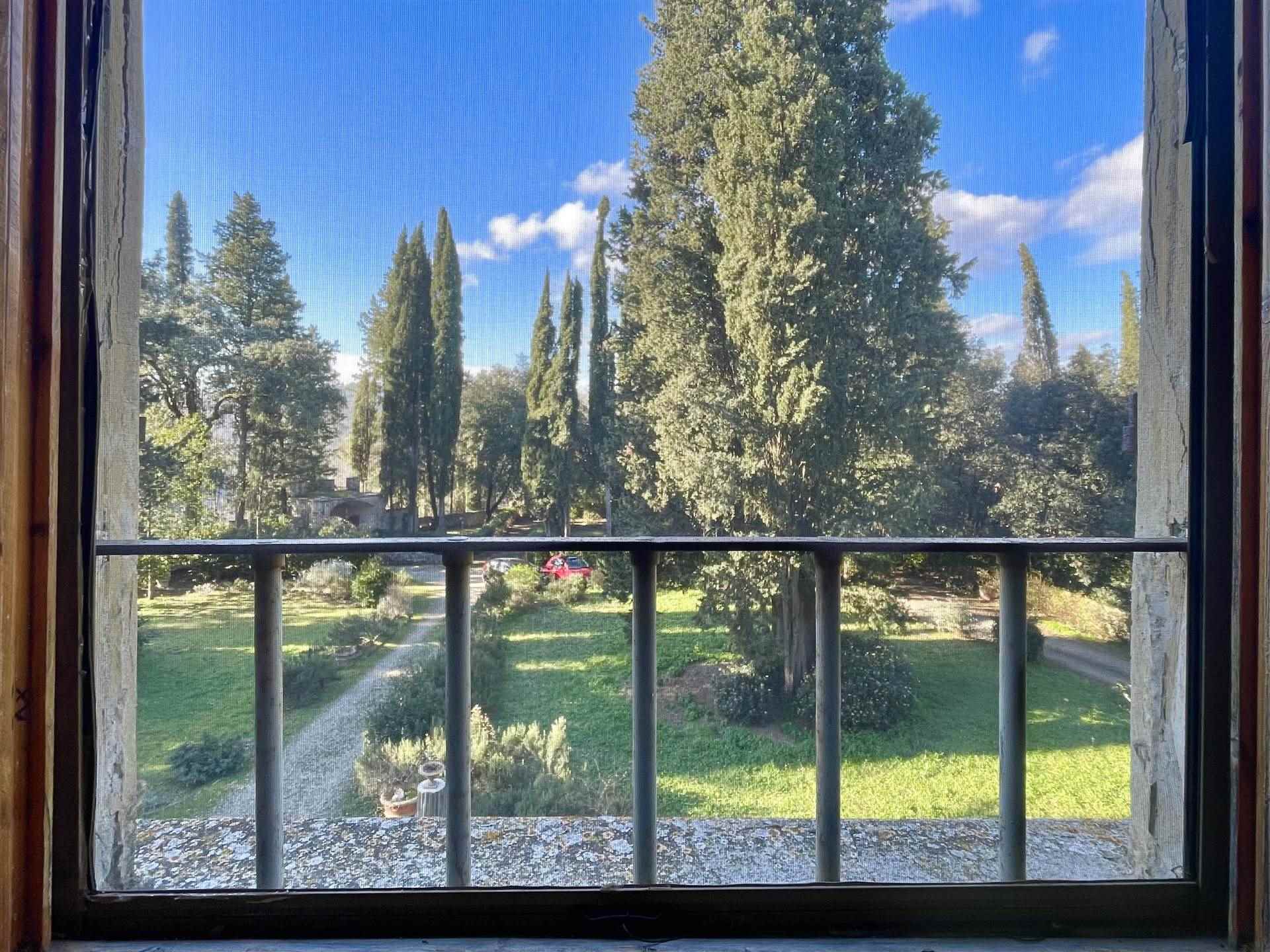 Vista
