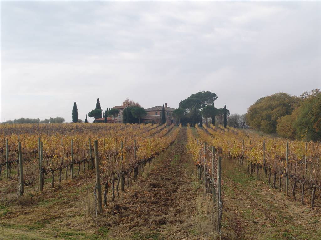 Agricultural and Winery Holdings TOSCANA Siena