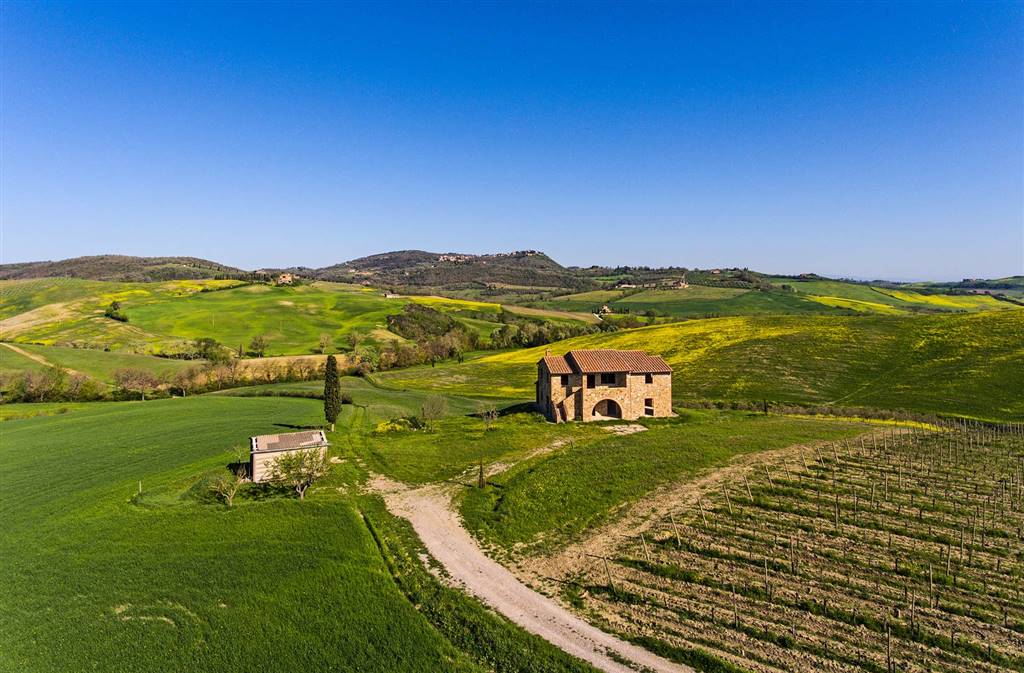 Agricultural and Winery Holdings TOSCANA Siena