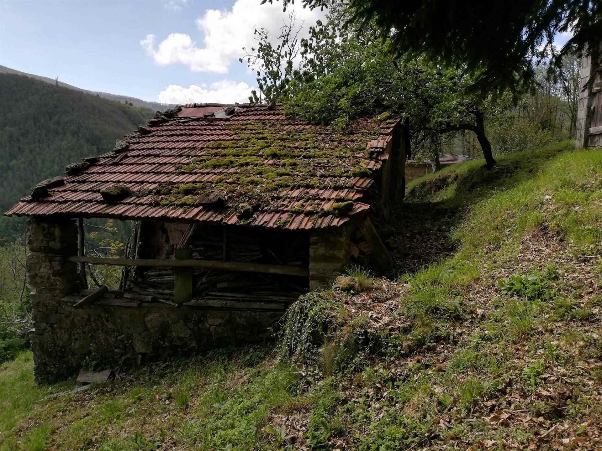 Gli annessi/capanna - The outbuildings / hut