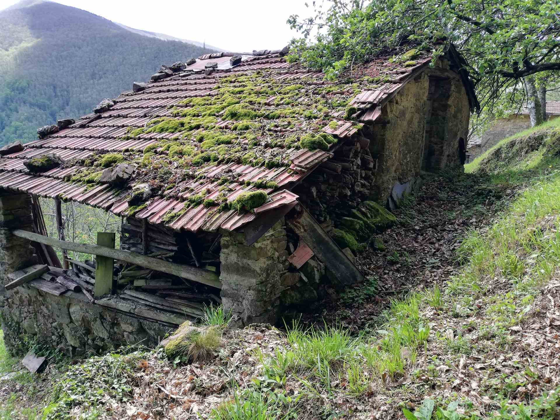 Gli annessi/capanna - The outbuildings / hut