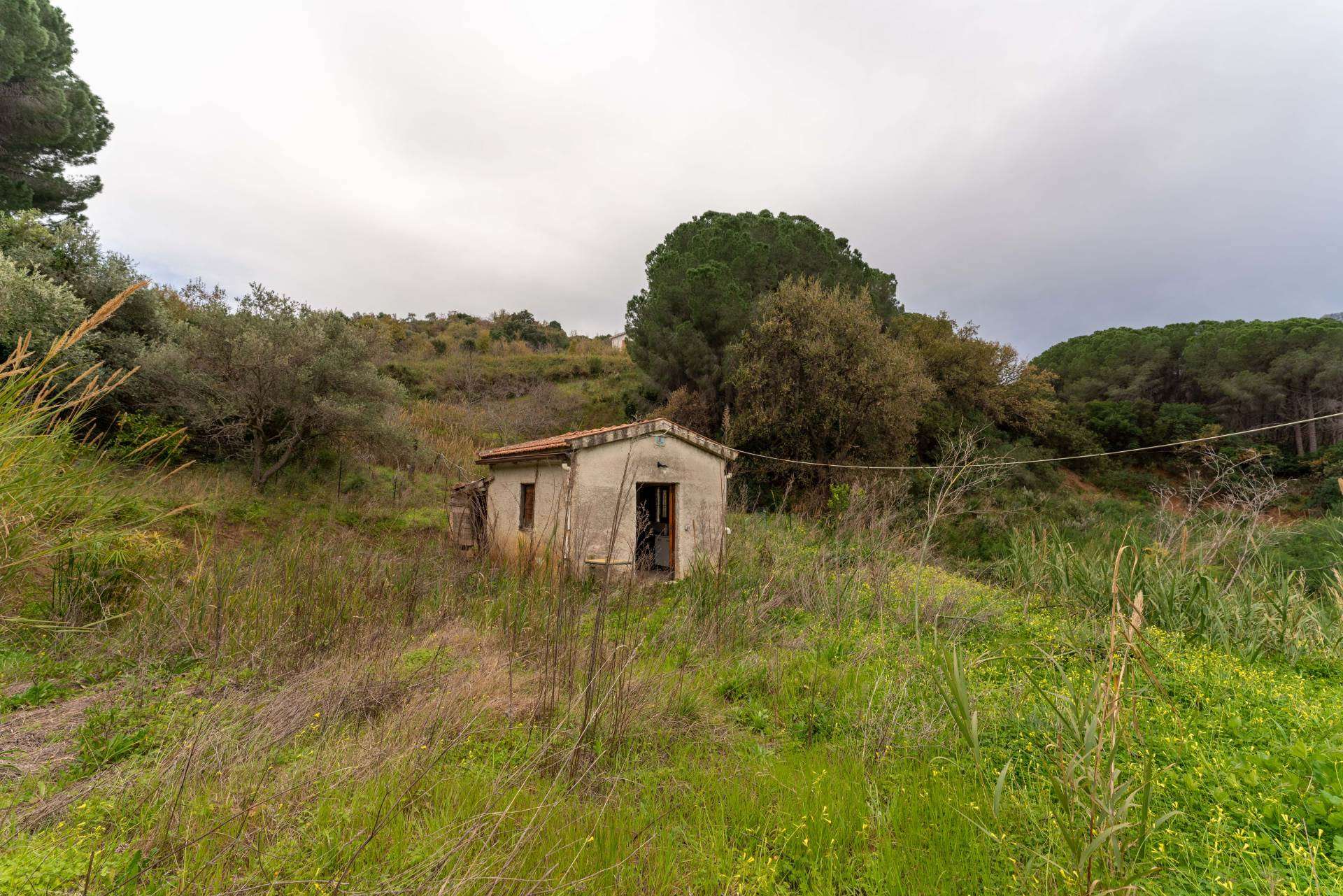 CEFALU', Agricultural land for sale of 10000 Sq. mt., Heating Non-existent, Energetic class: G, composed by: , Garden, Price: € 35,000