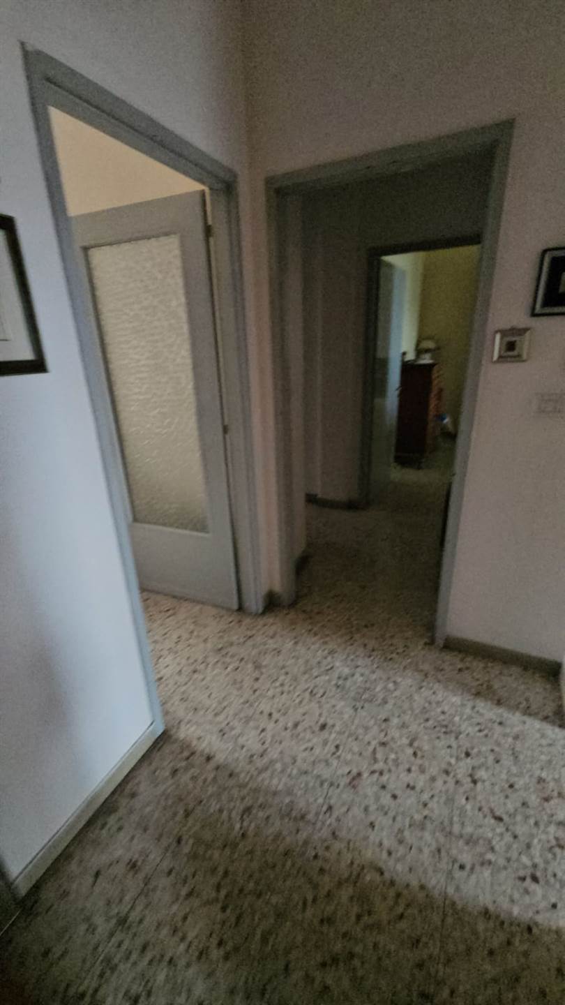 Foto Foto
