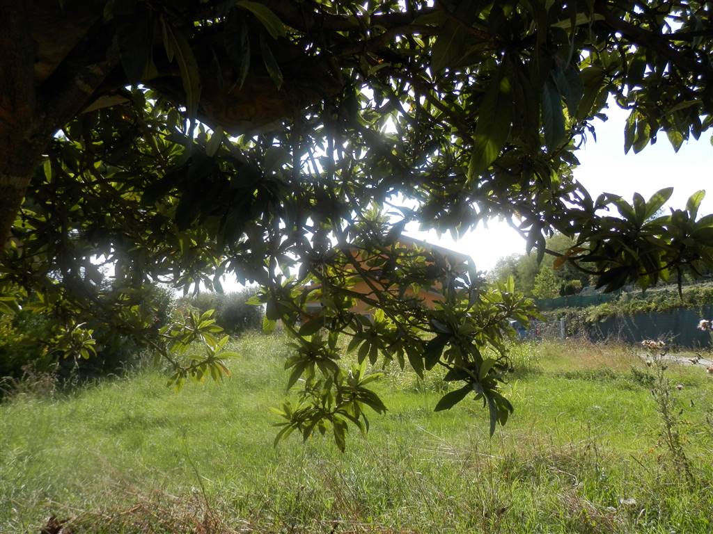 POLPENAZZE DEL GARDA, Building land for sale of 766 Sq. mt., composed by: , Garden, Price: € 230,000