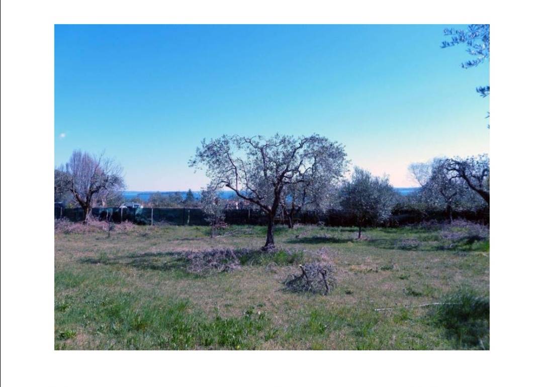 MONIGA DEL GARDA, Farming plot of land for sale, Energetic class: Not subject, composed by: 1 Room, Price: € 400,000