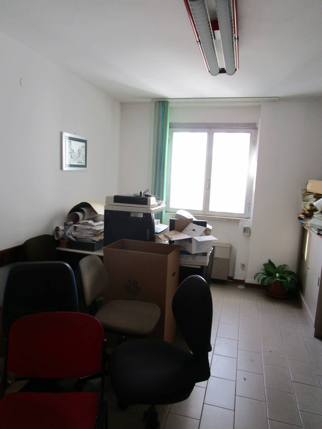 Ufficio in Affitto a Prato zona Repubblica - immagine 3