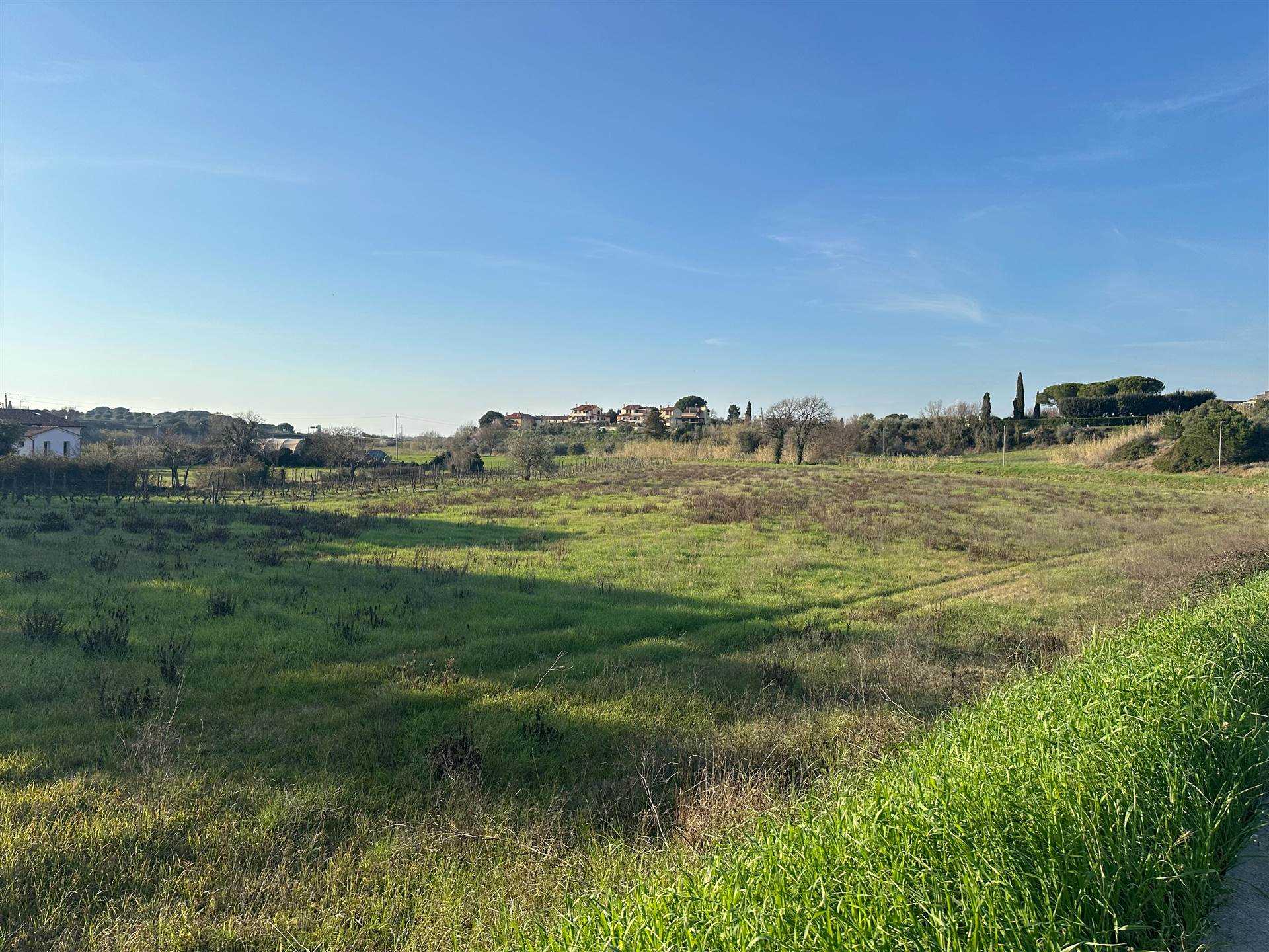 MONTESCUDAIO, località il Fiorino, appena fuori dal centro abitato di Cecina, vicino ai principali servizi, proponiamo terreno agricolo in zona 