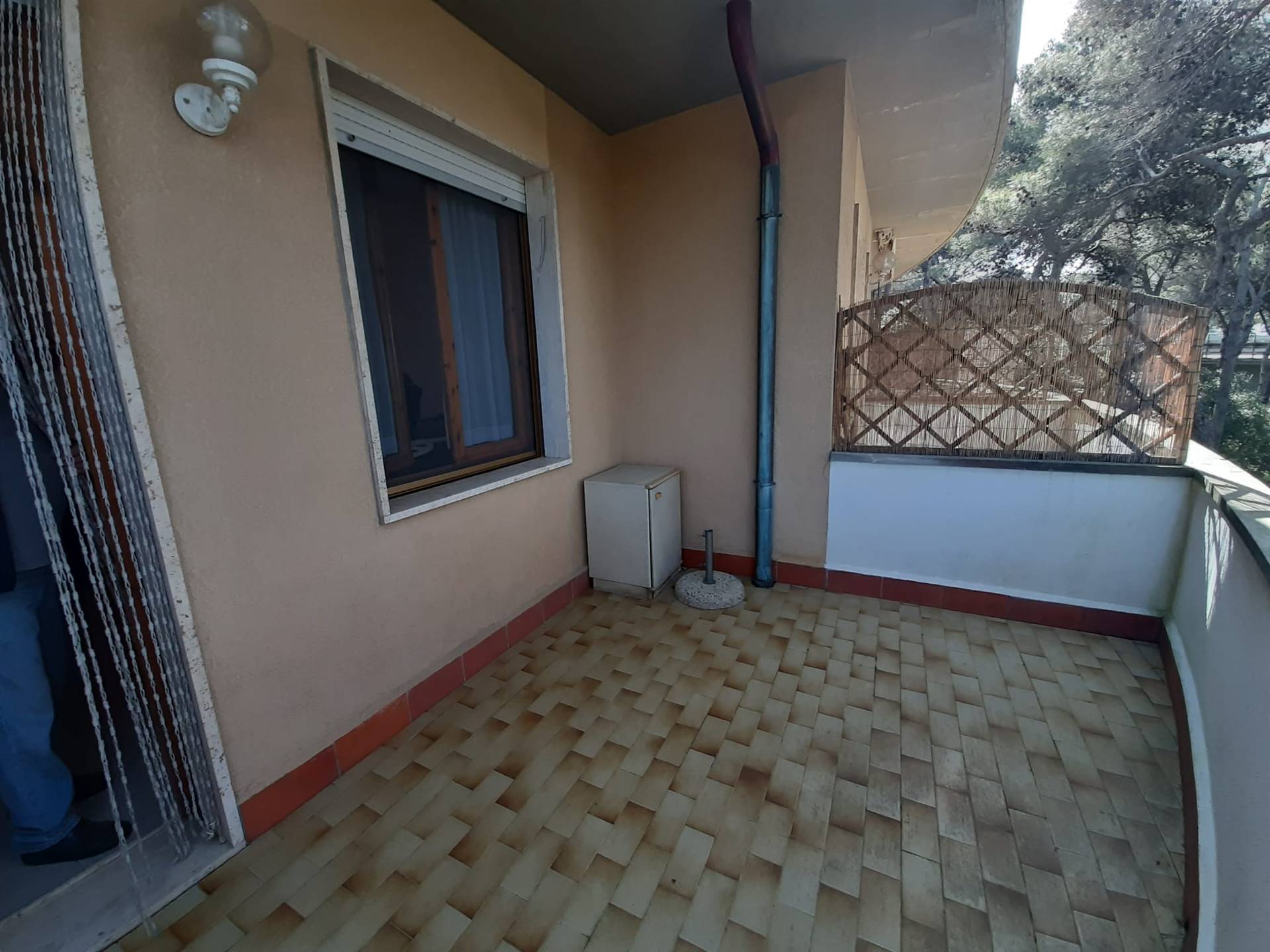 Appartamento in vendita a Rosignano Marittimo Livorno Castiglioncello
