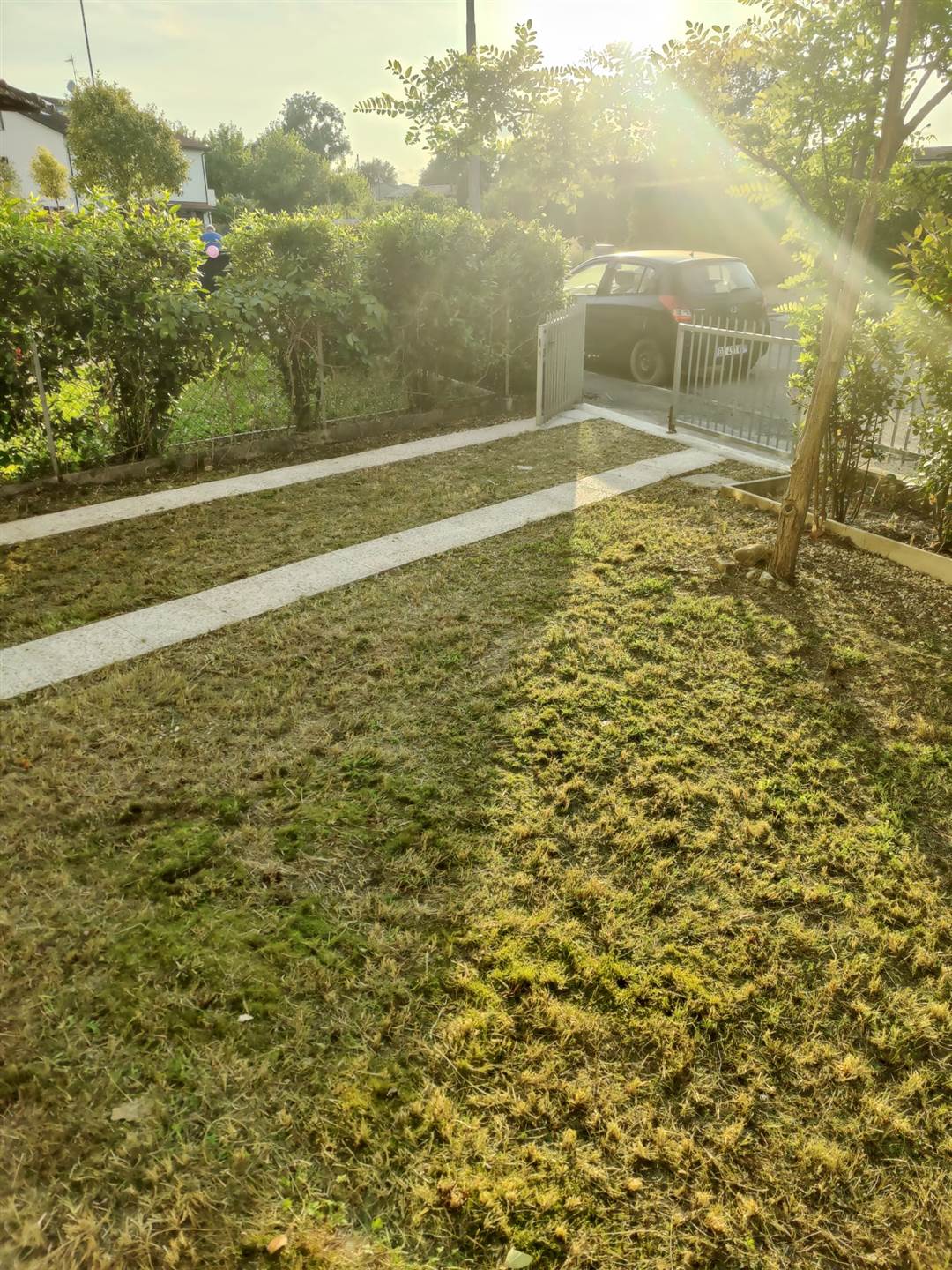Foto giardino