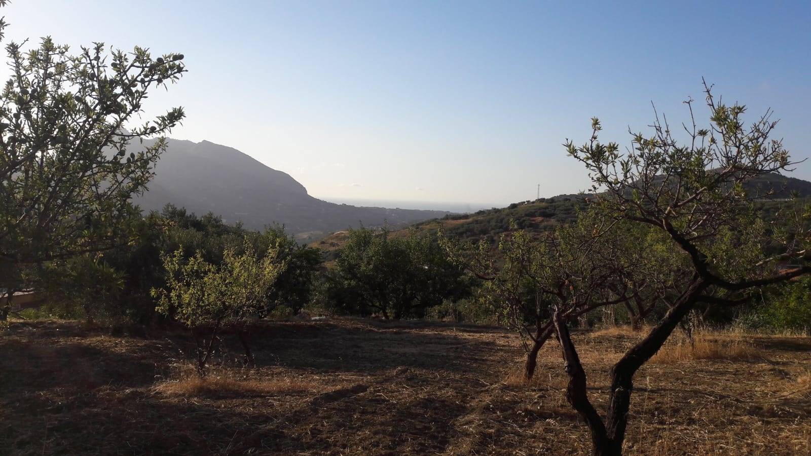 MISILMERI, Farming plot of land for sale, Energetic class: Not subject, composed by: , Price: € 23,000