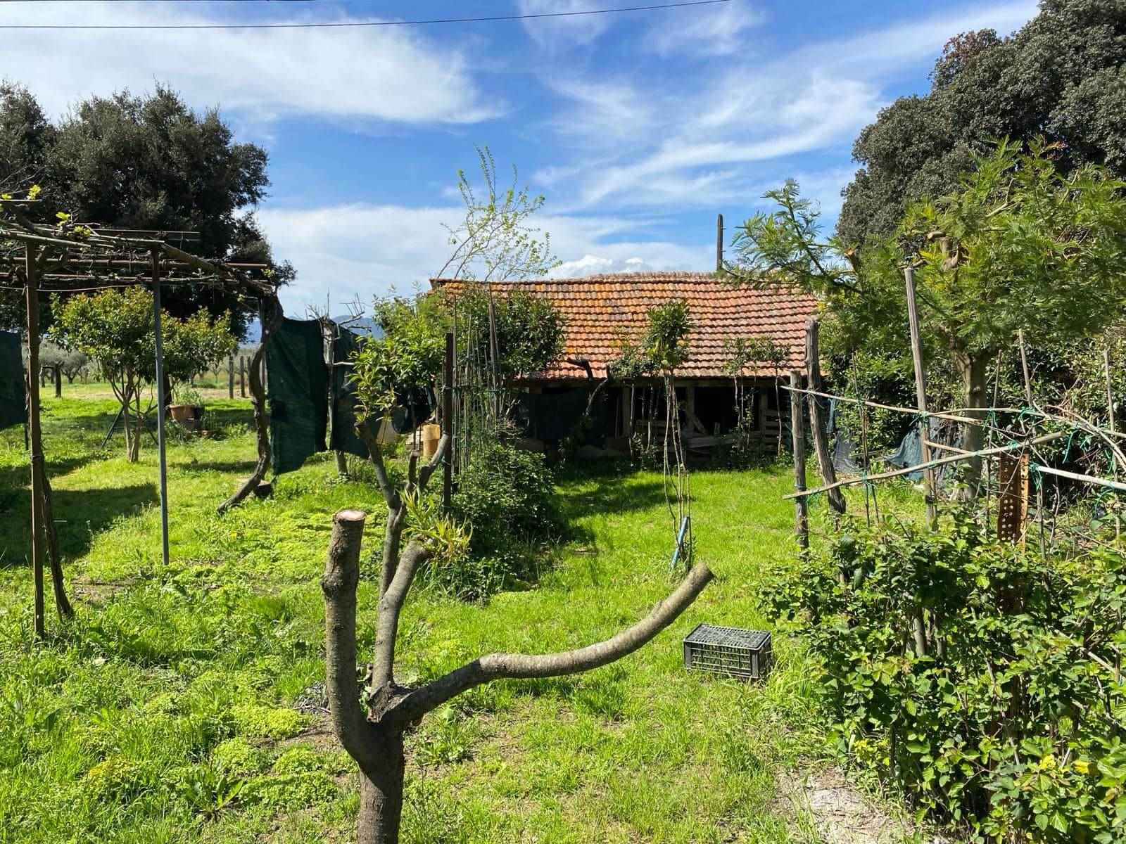 BRACCAGNI, GROSSETO, Rustic farmhouse for sale of 140 Sq. mt., Be restored, Heating Individual heating system, Energetic class: G, placed at Ground, 